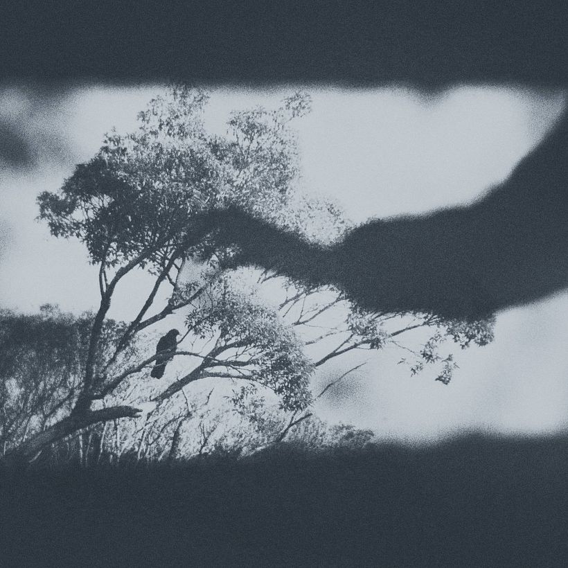 Landscape 7