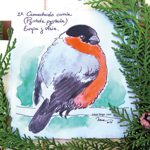 Birdtober 2