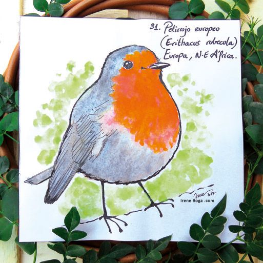 Birdtober 4