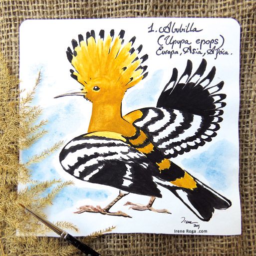 Birdtober 5