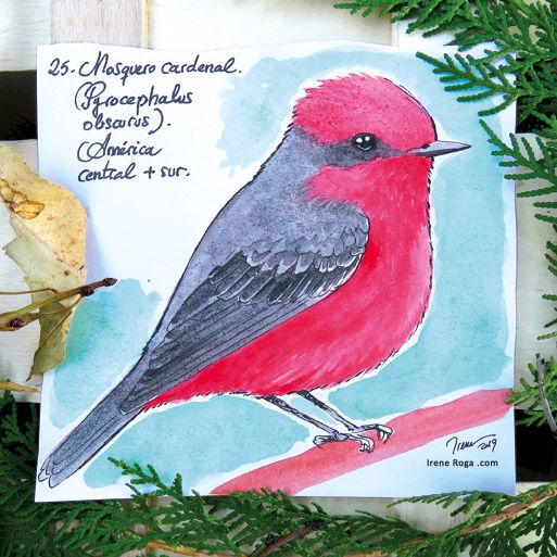 Birdtober 8