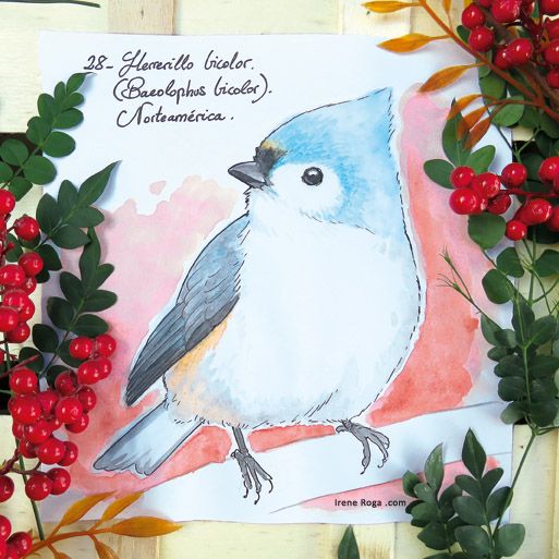 Birdtober 9