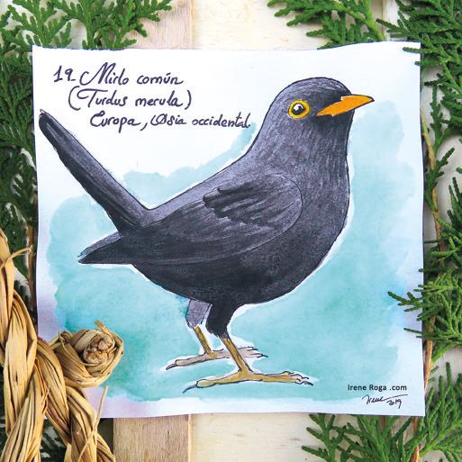 Birdtober 6