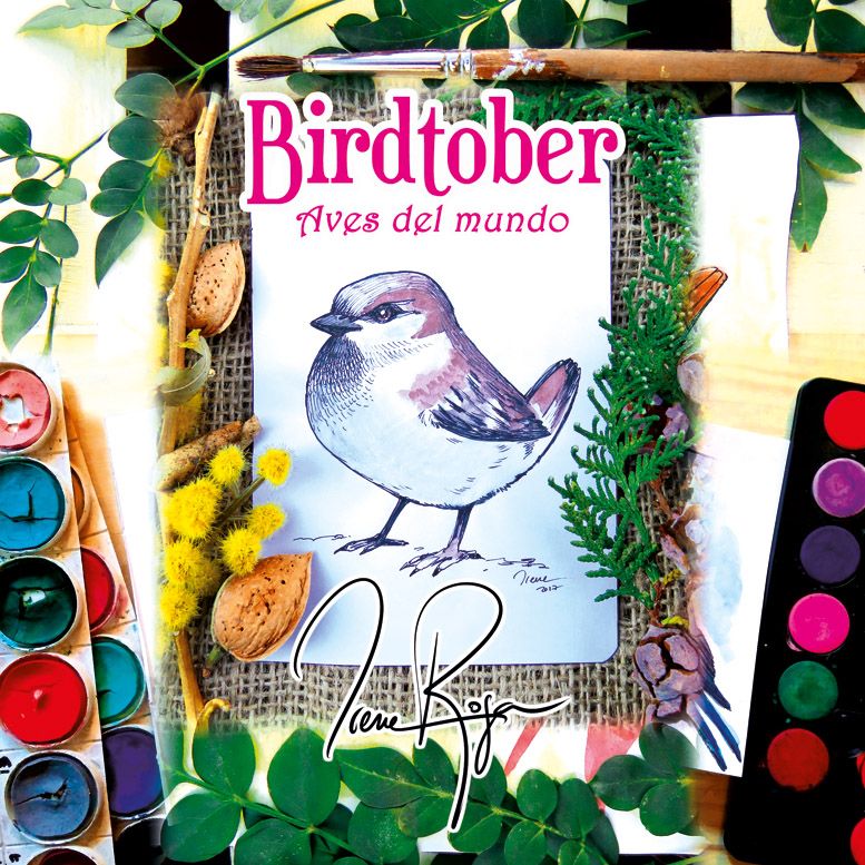 Birdtober 11