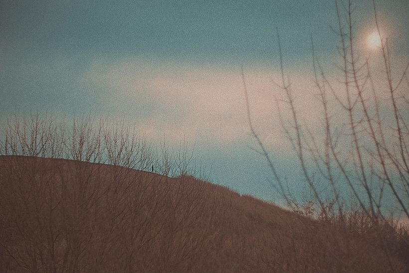 Landscape 13