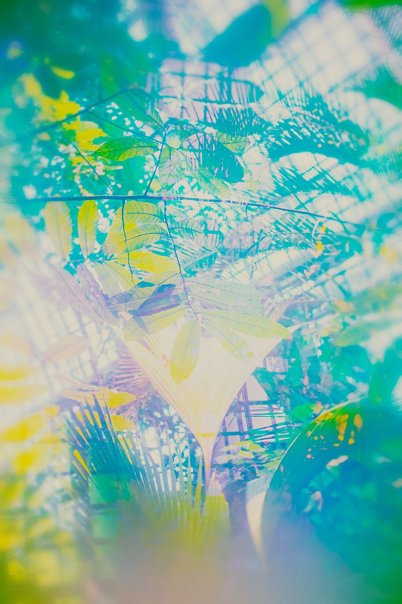 Botanischer Garten 0