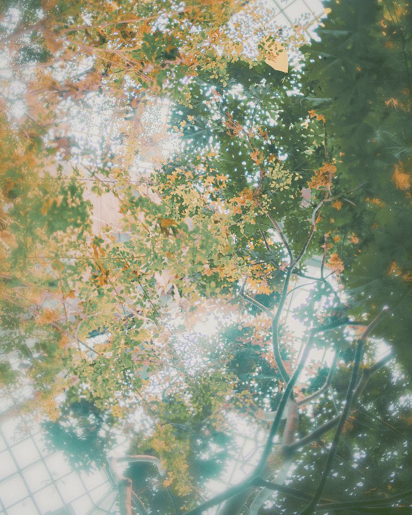 Botanischer Garten 7