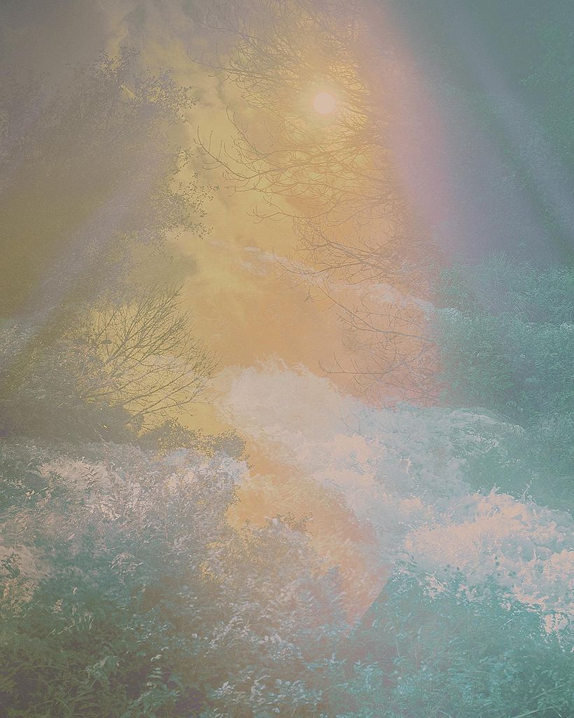Landscape 16