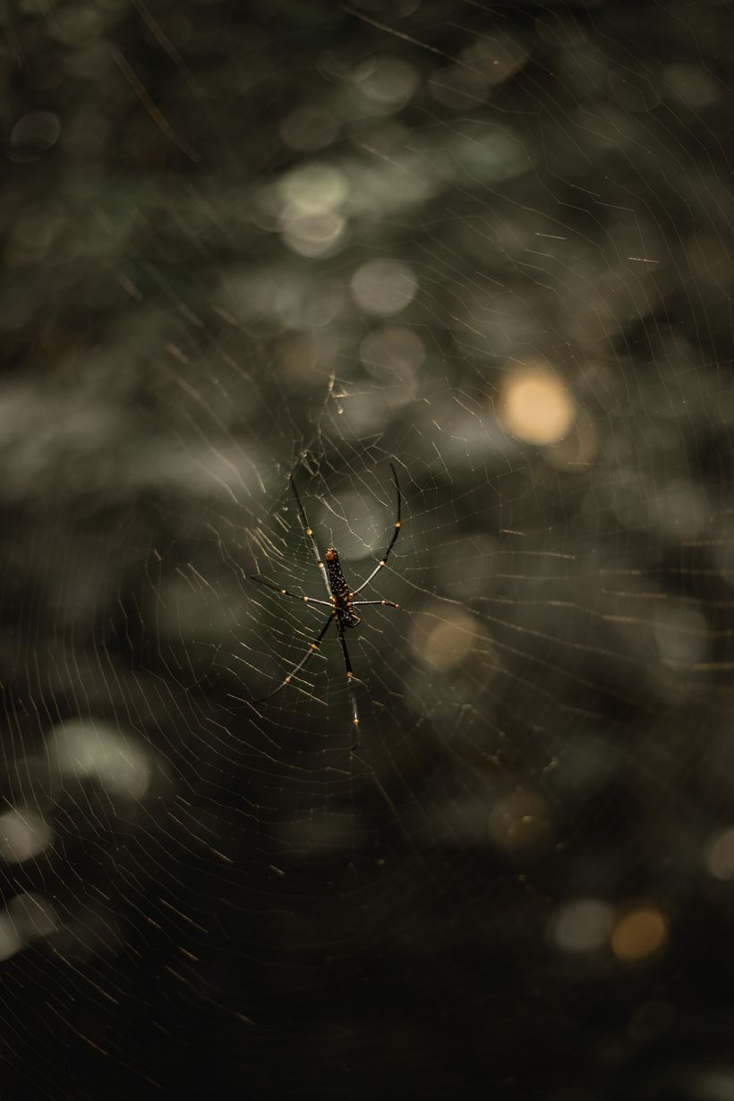 Ein anderer Rhythmus 7
