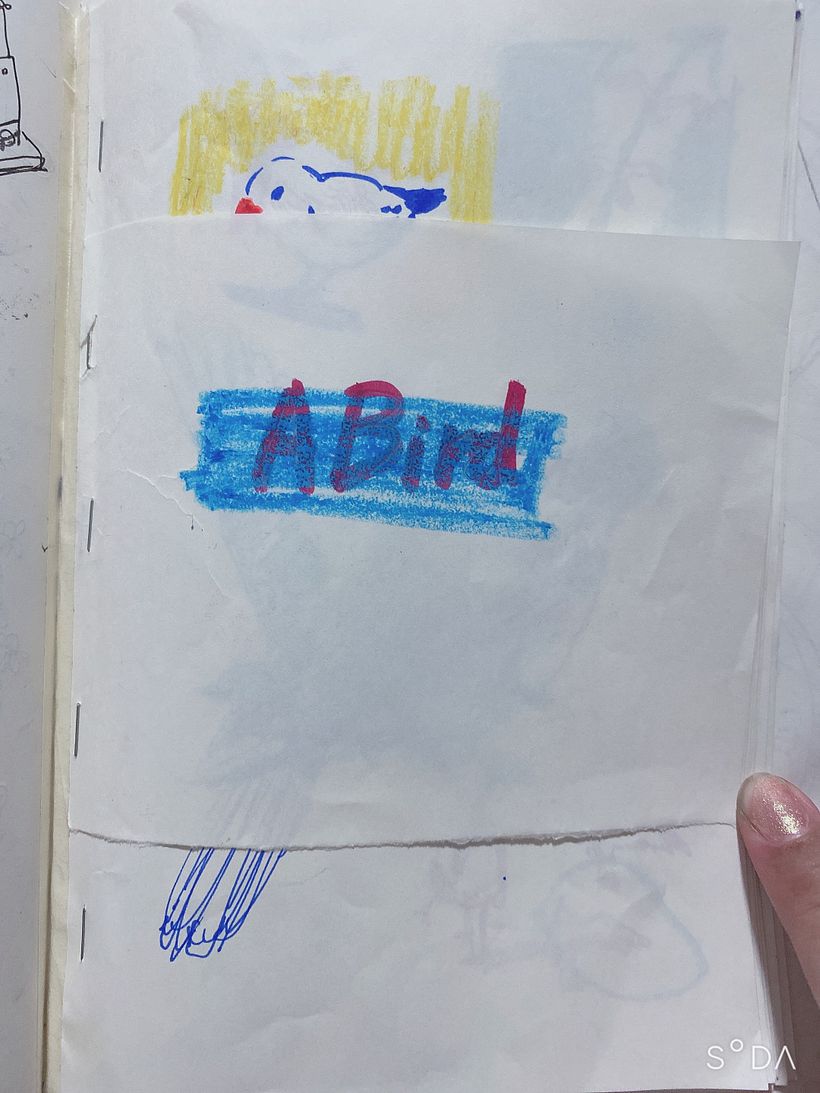 My skecthbook project in Using Your Sketchbook as an Idea Lab course 0