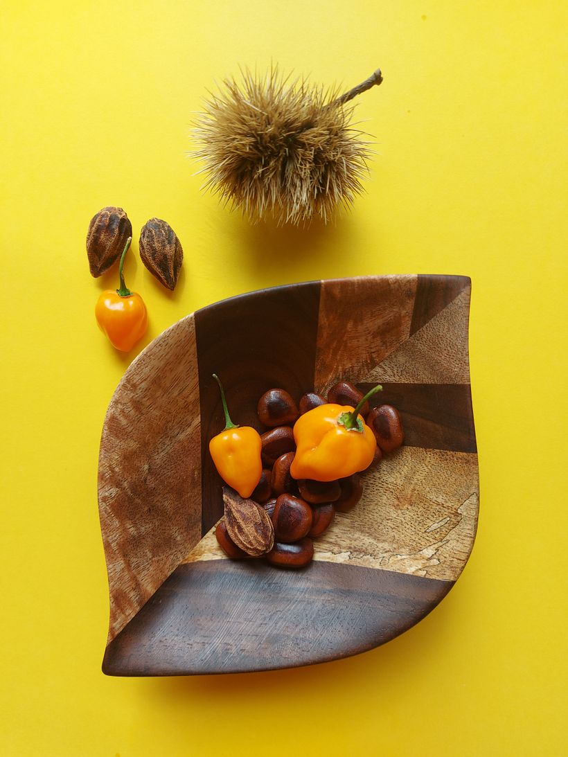 Colección Hoja 4