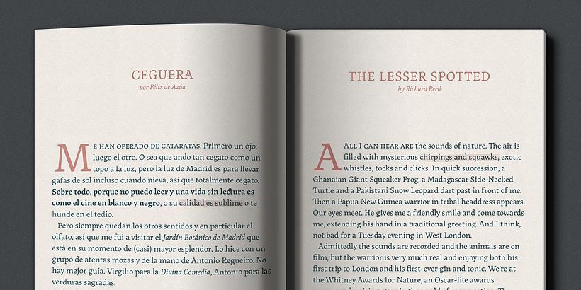 Diseño de Tipografía Landa  5