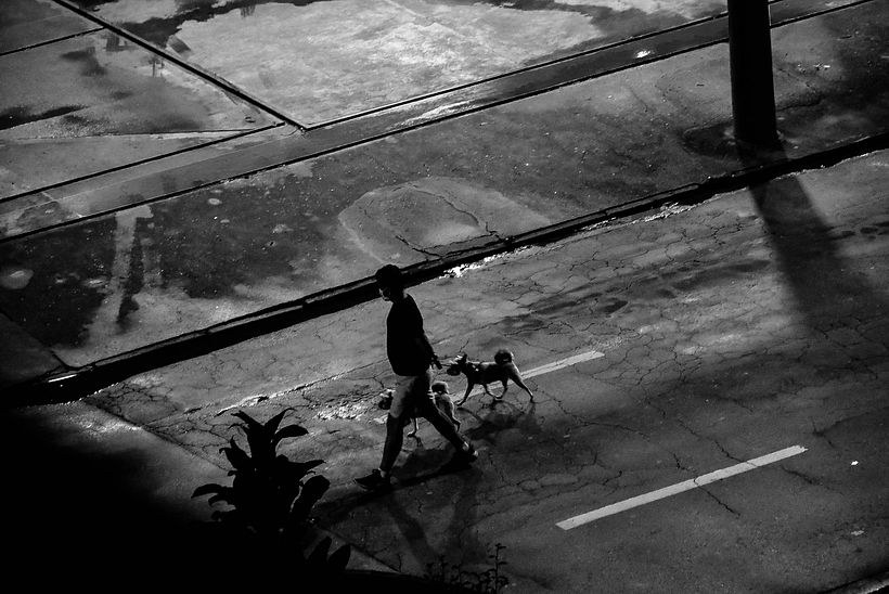 Concurso de Fotografia: Novo de Novo 1