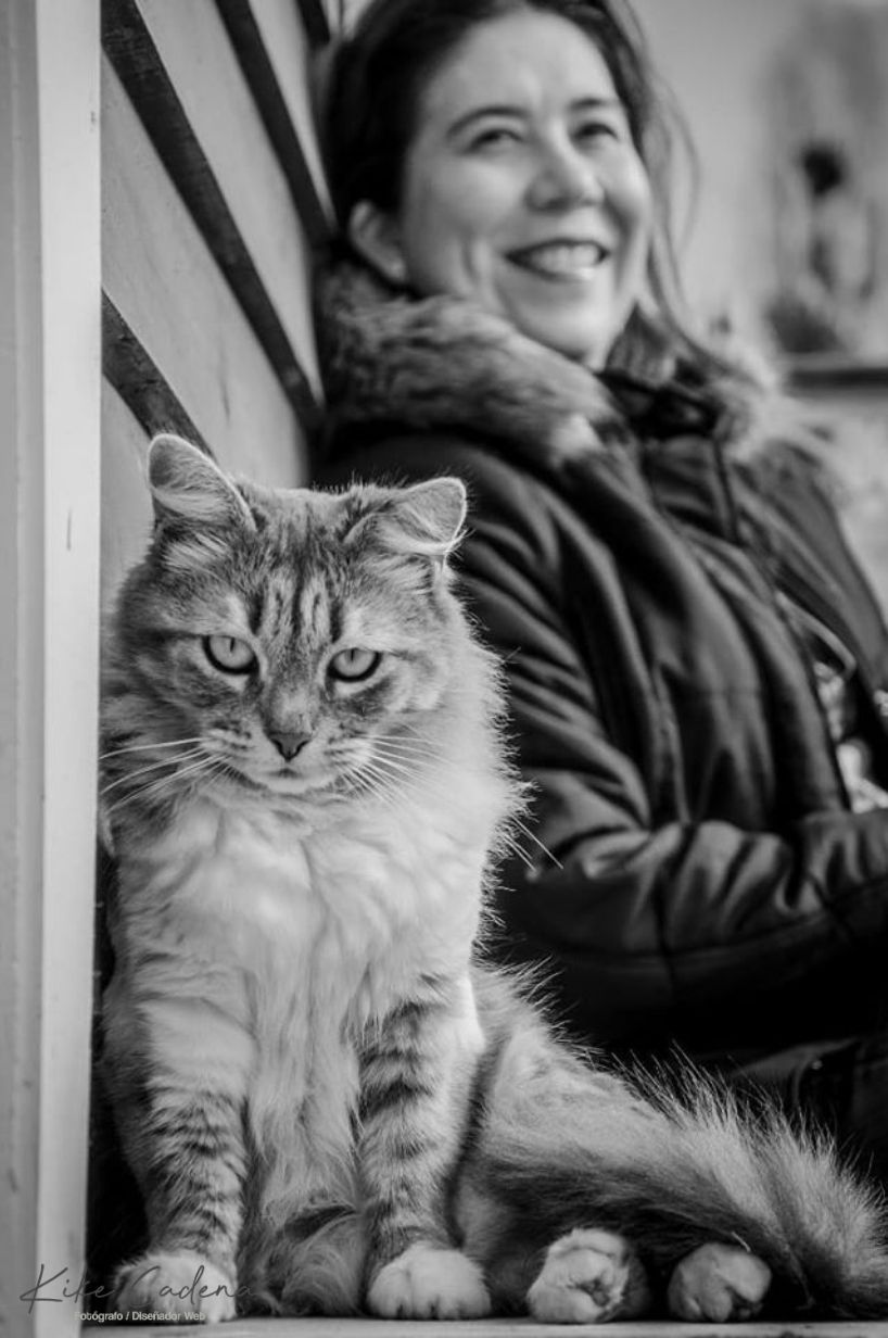 Foto casual, gatita callejera en Chile