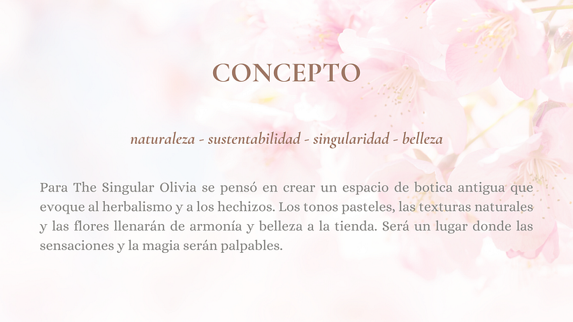 Mi Proyecto del curso: Introducción al retail design 2