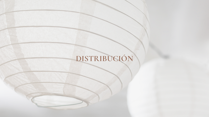 Mi Proyecto del curso: Introducción al retail design 5