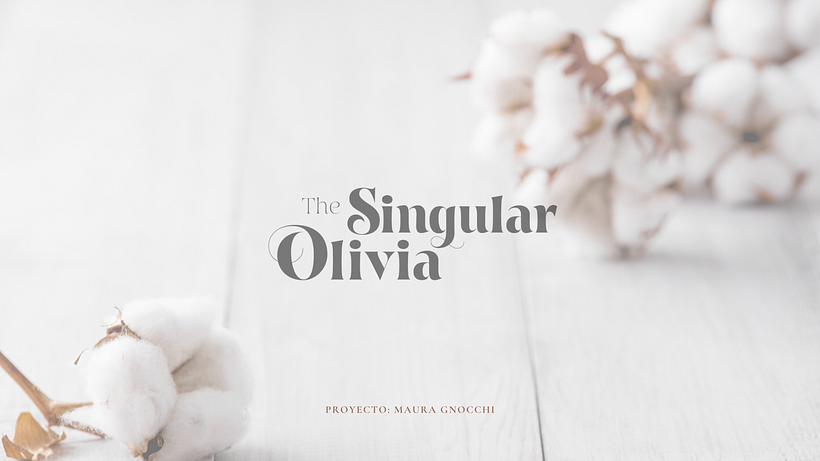 Mi Proyecto del curso: Introducción al retail design 12