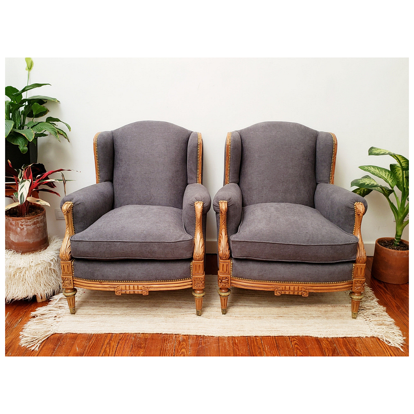 Nueva Vida para estos Sillones -1