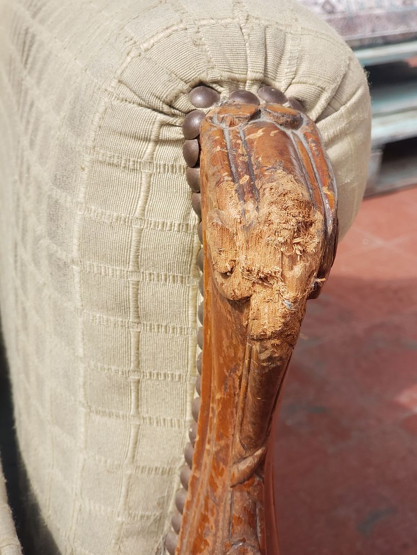 esto fue comido por un lindo perrito jajaja