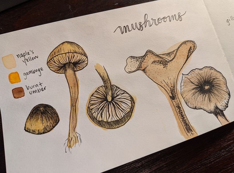 My project in Botanical Watercolor Sketchbook course 2