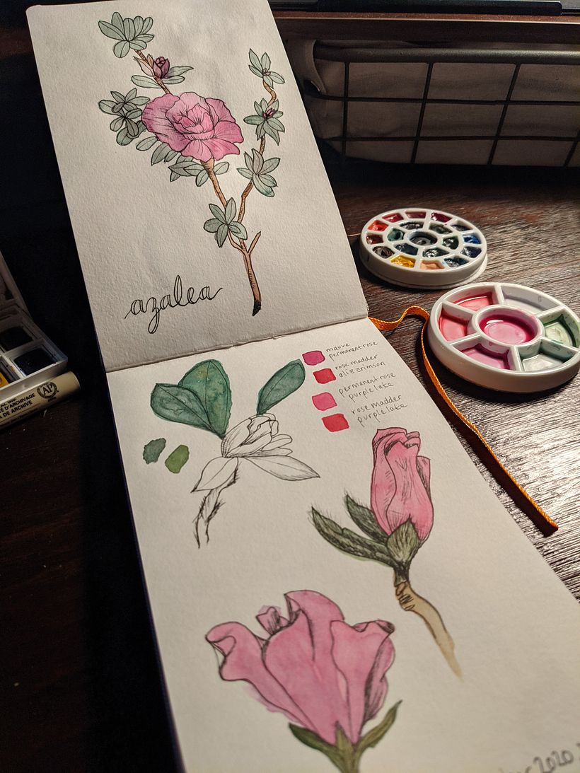 My project in Botanical Watercolor Sketchbook course 3