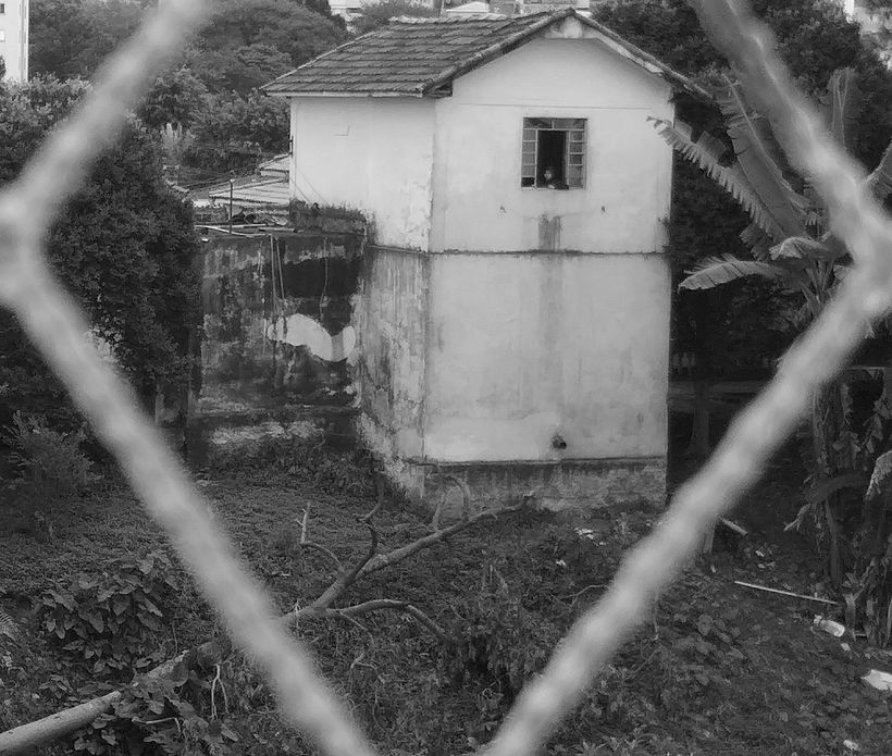 Foto tirada em 19 de agosto de 2020.