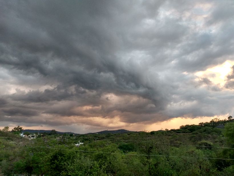 Concurso de Fotografia: Novo de Novo 1