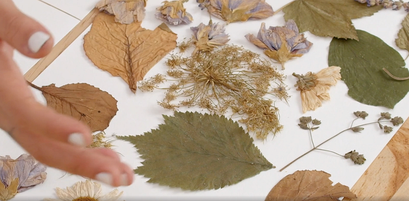 Drawing Tutorial: Learn How to Draw Plants 4