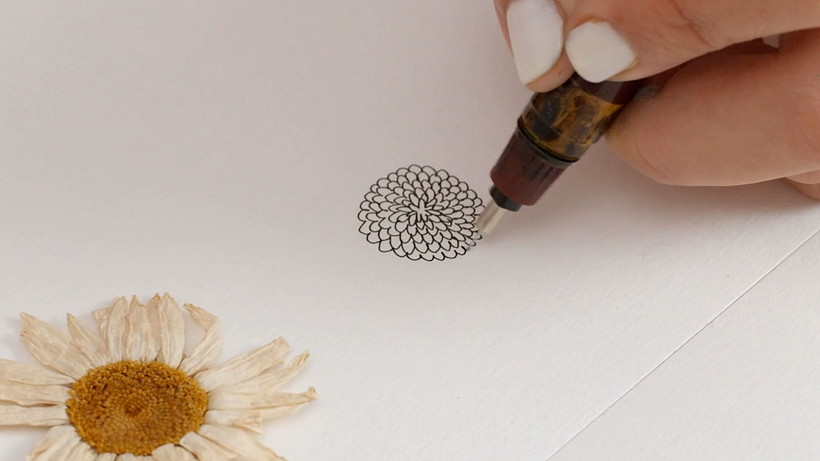 Drawing Tutorial: Learn How to Draw Plants 11