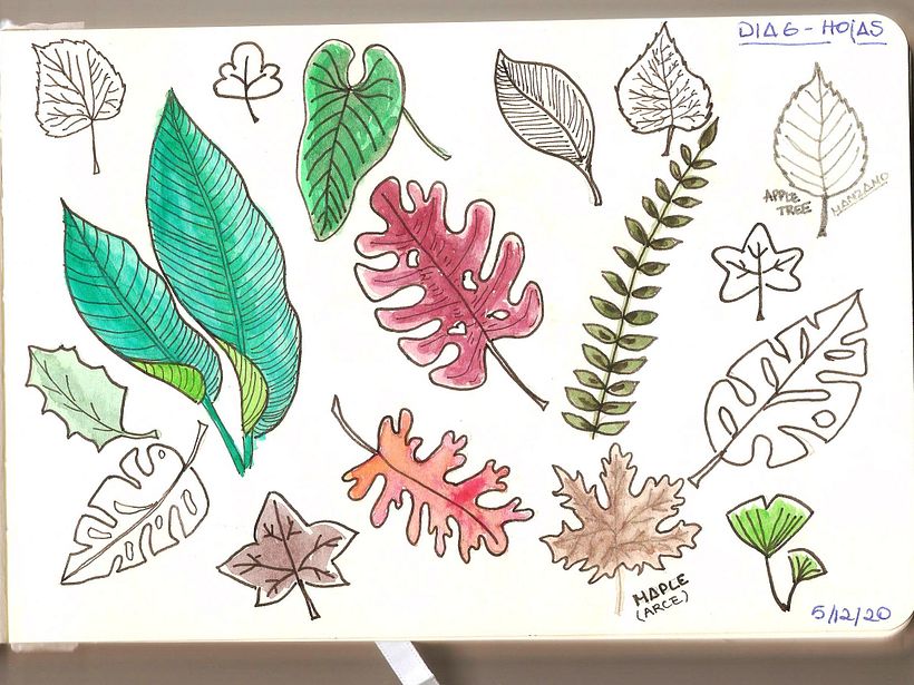Una de las páginas con minidibujos, ese día había escogido dibujar hojas