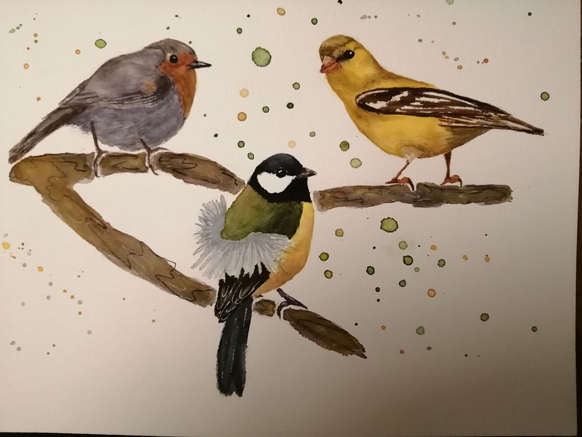 My birds