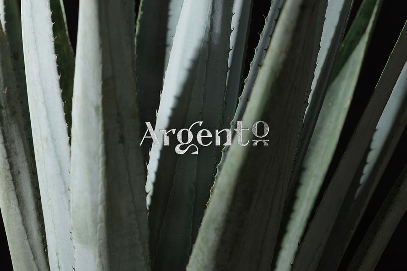 Argento 4