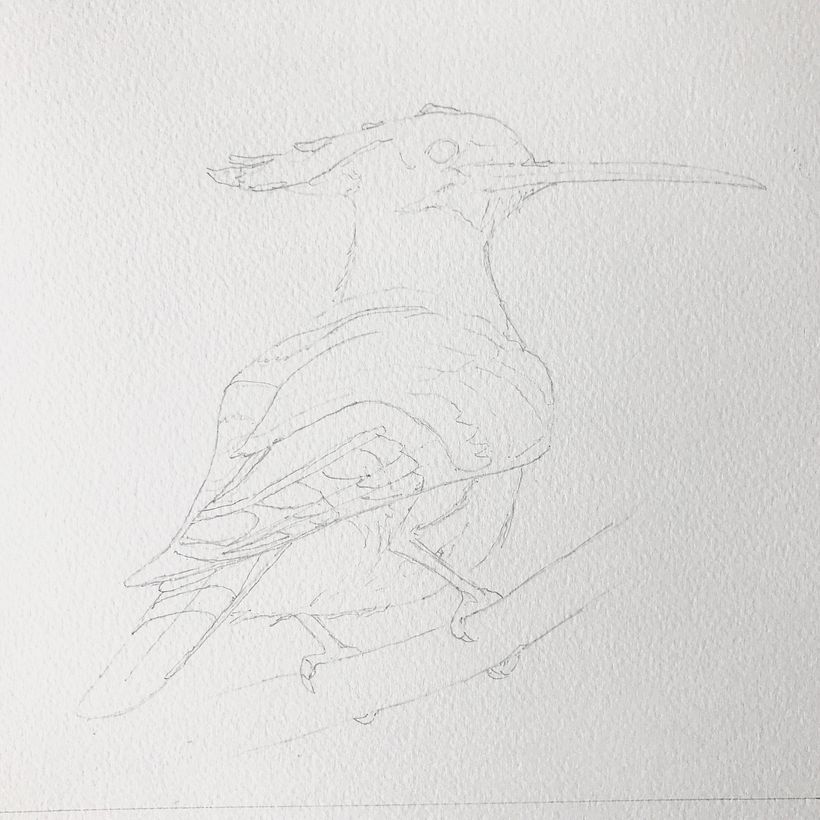 Initial sketch