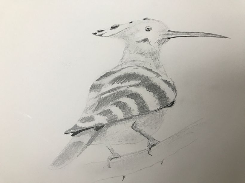 Value study