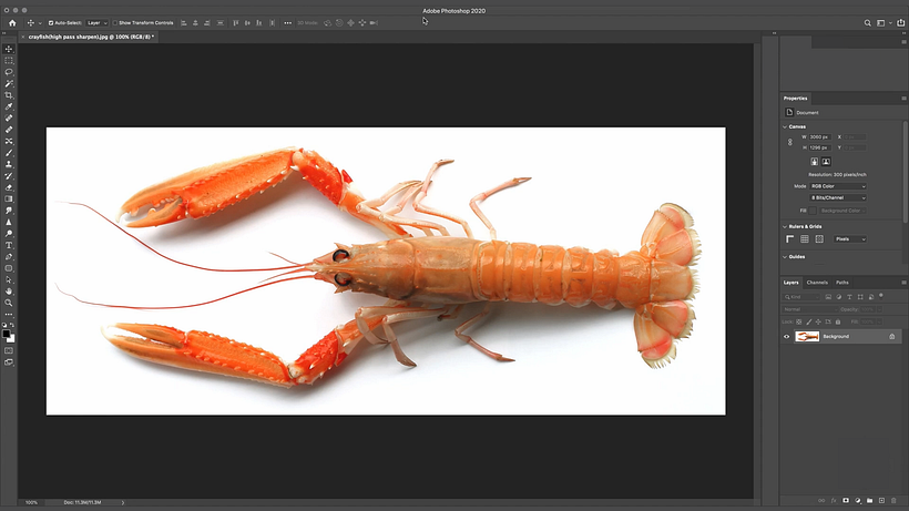 Photoshop Tutorial: How to Sharpen Your Images 3