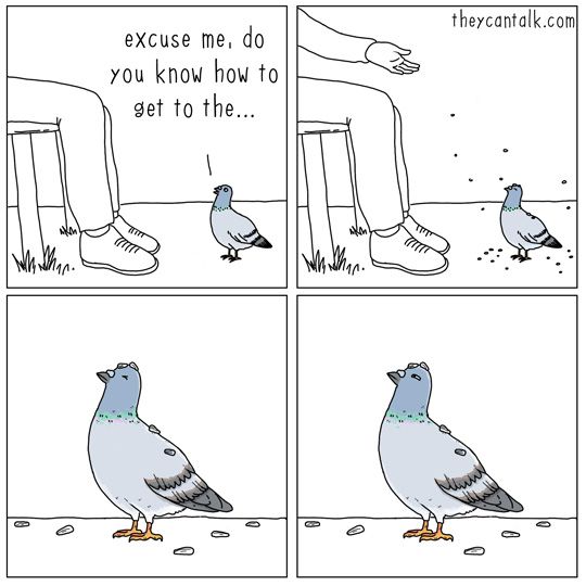 They Can Talk 1