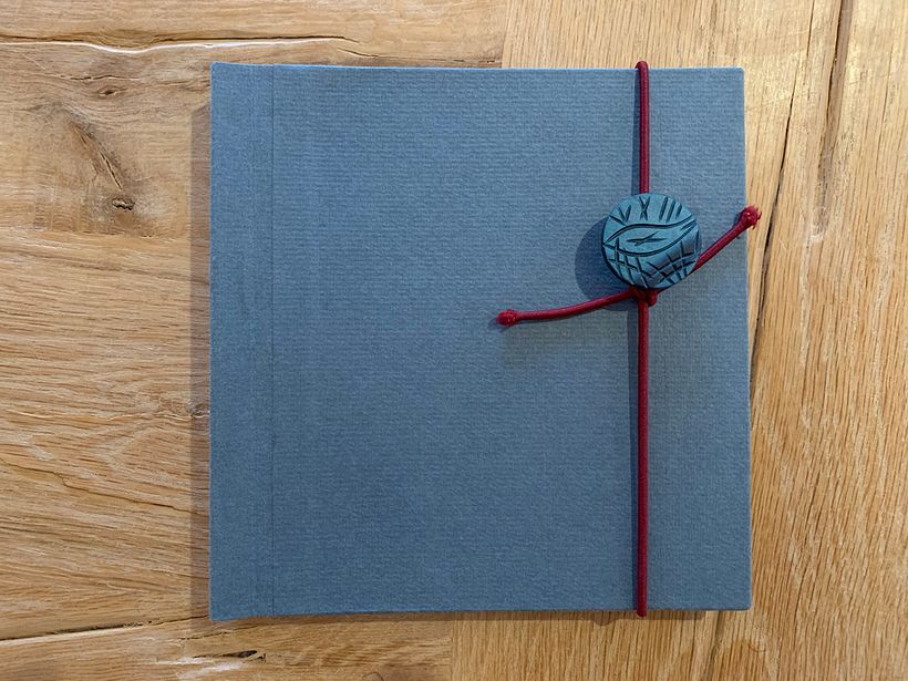 My book project “Safe From Harm” 