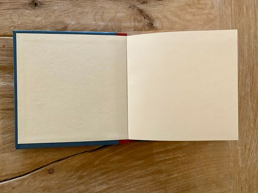 End papers Canson Mi-Teintes. I was surprised how easy it was to glue them in place 