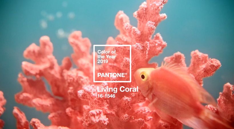 Living Coral 2019