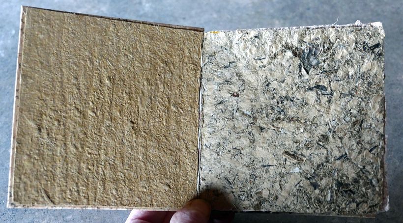 papers nade from fungi