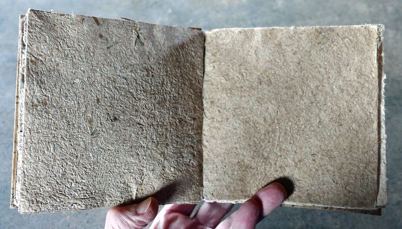 papers made from dried plant material