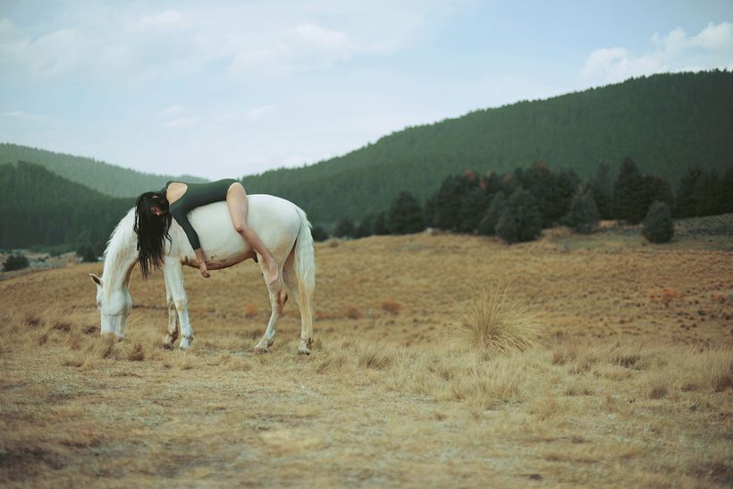 Proyecto: Goodbye Horses 1