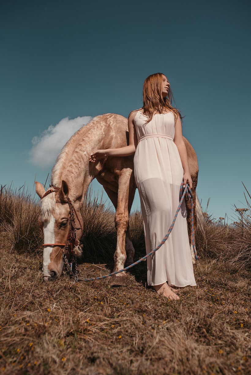 Proyecto: Goodbye Horses 2