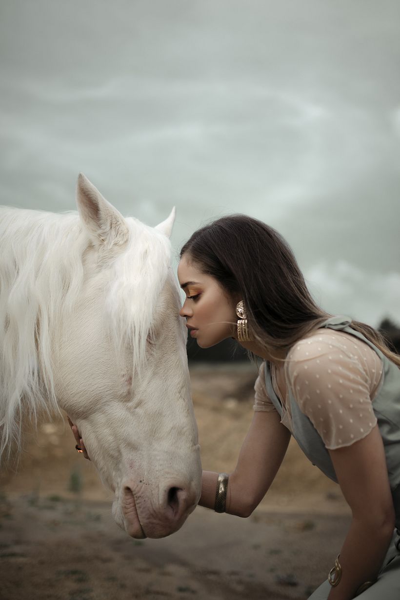 Proyecto: Goodbye Horses 5