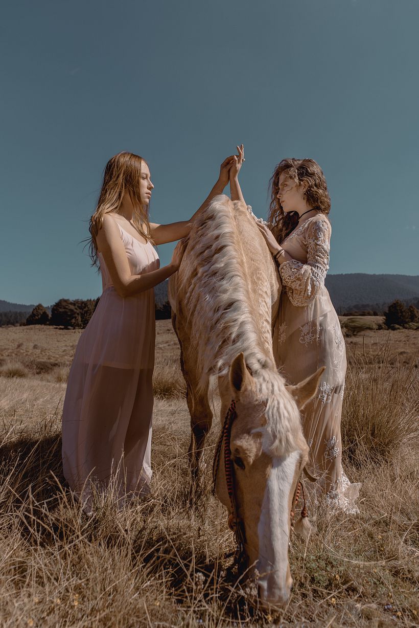 Proyecto: Goodbye Horses 6