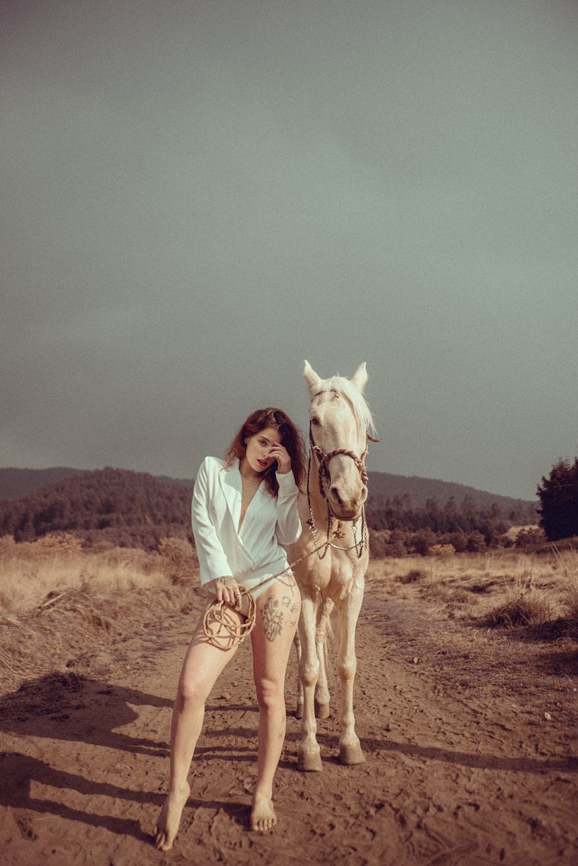 Proyecto: Goodbye Horses 7