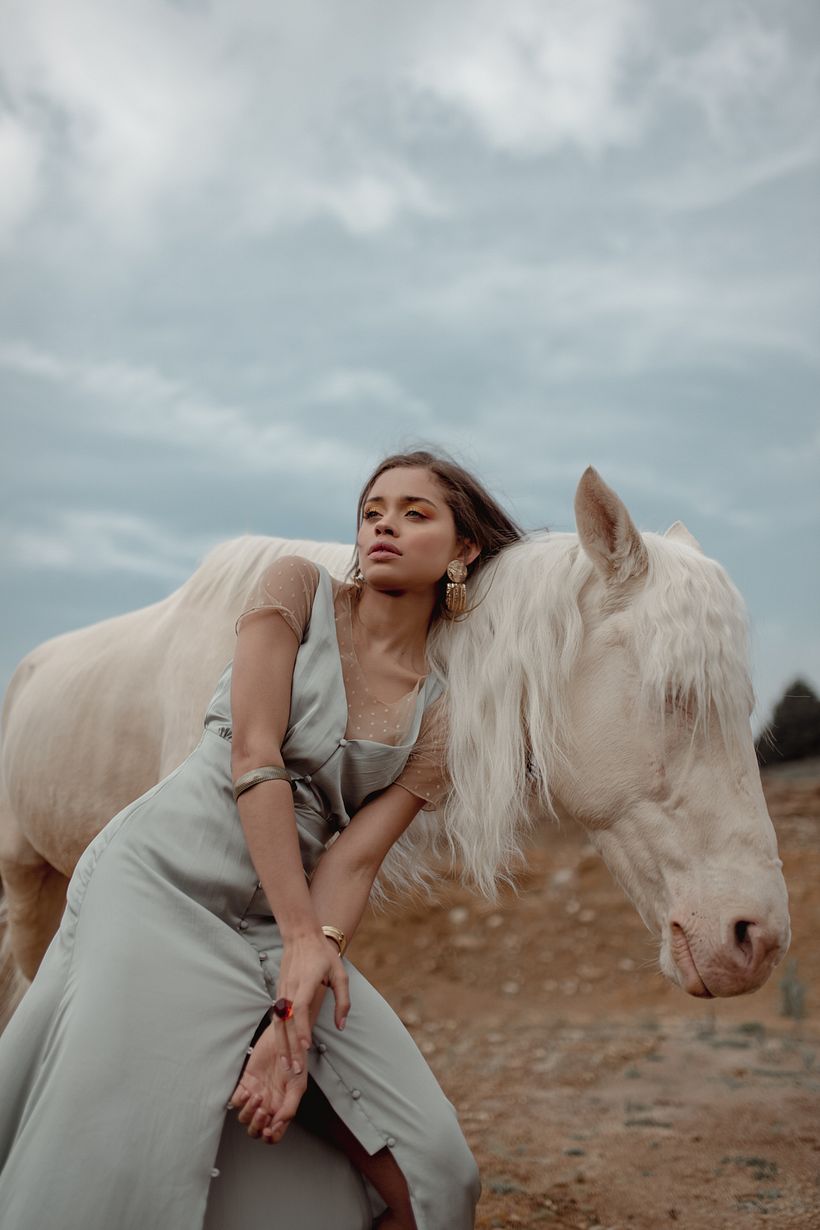 Proyecto: Goodbye Horses 11