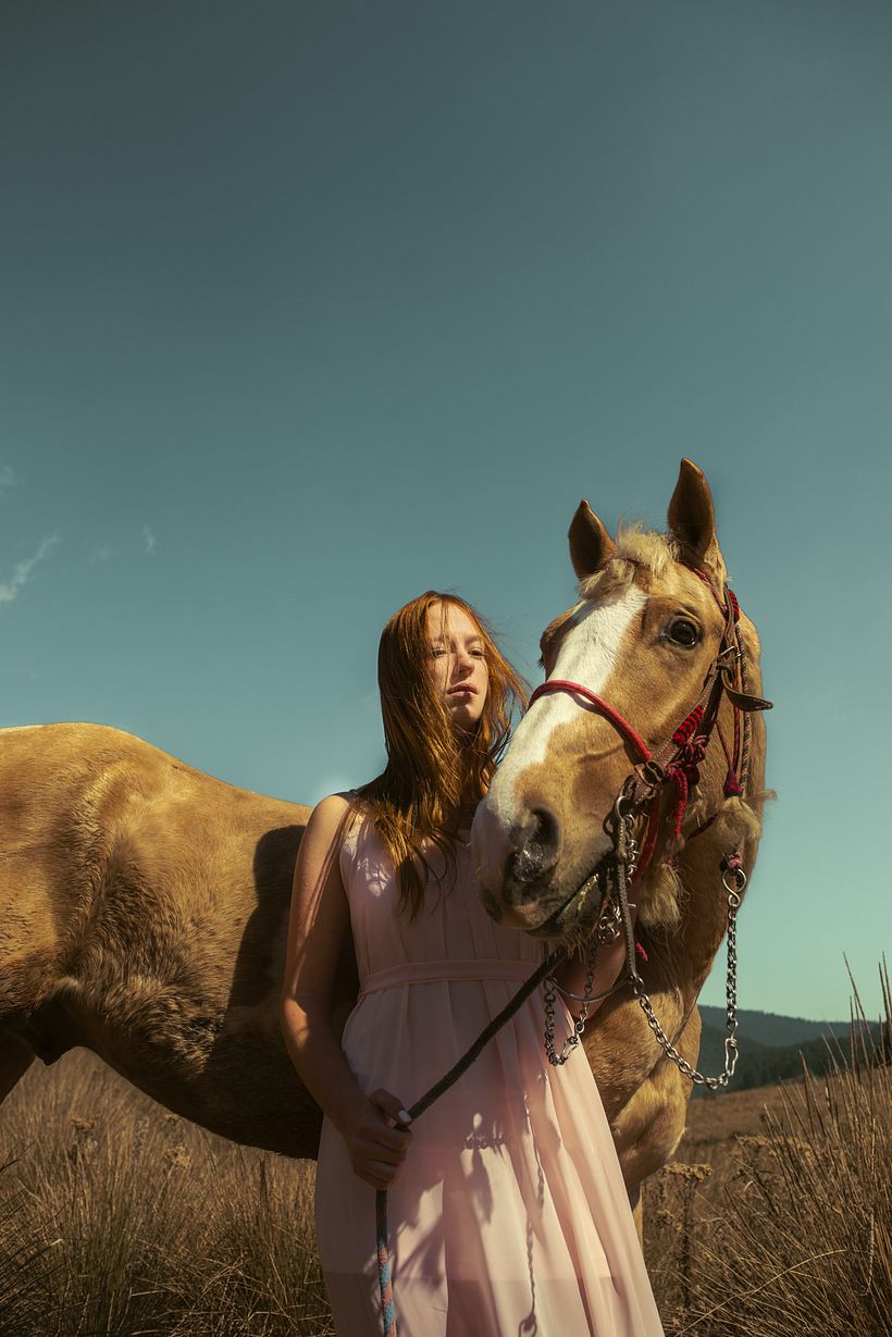 Proyecto: Goodbye Horses 12