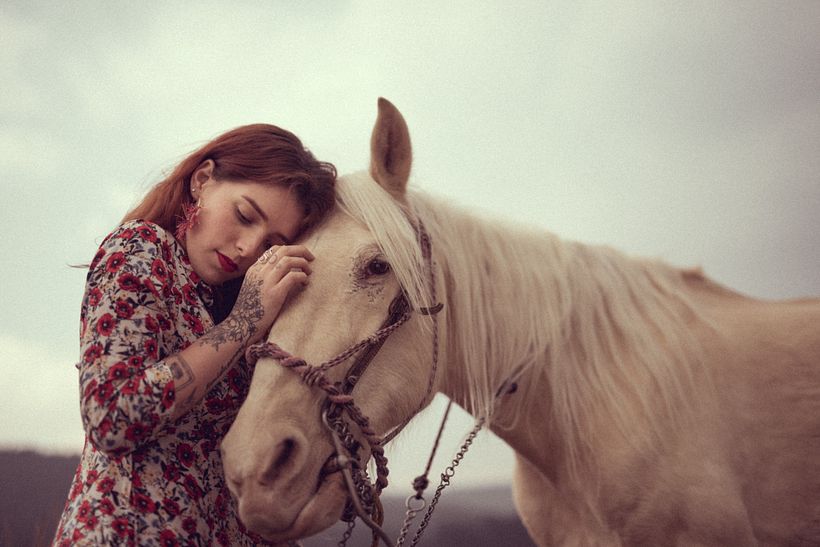 Proyecto: Goodbye Horses 15