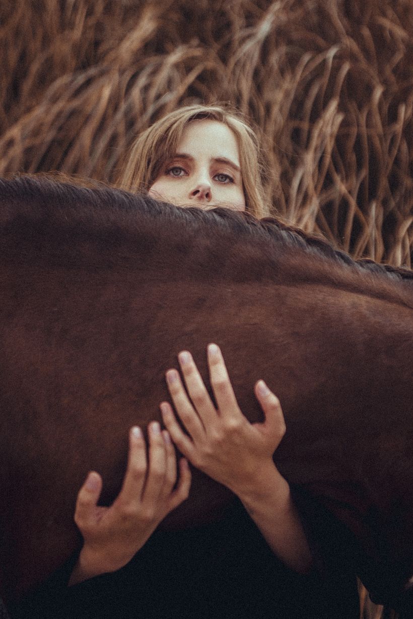 Proyecto: Goodbye Horses 16